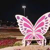 alihamza5812