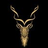 markhor01311