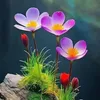 ithuy230876