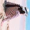 tiws___