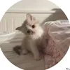 qnhuwthp_19
