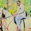 hamidnasirharal1