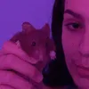 lenaartus