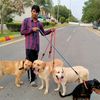 ashrafrandhawa00