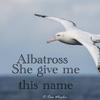 albatross102