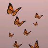 secret.account1348