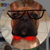 gordy_did_it