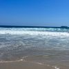 vero_views