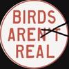 .birdsarereal