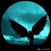 elian.r.a_0