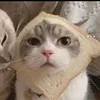 jonnassgae