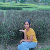 lis.jing