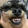ipisnapag0d