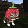 babycowgomoo
