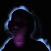 frednmr1