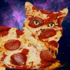 katzenpizza