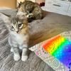 lizpeaches