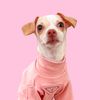 luna_the_chi