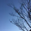 wawawa_000wawa