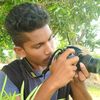 dhonifan11