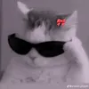 natashabop