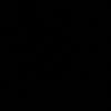 gin_i2