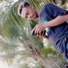atemo.990