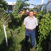erol7328