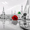tumbin91l