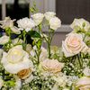 snush345_
