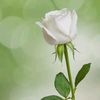 hudawy12