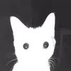 jack_kappel