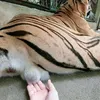 tenthatlahoang