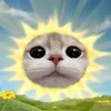 haizyl_07
