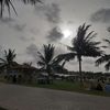 seemi716