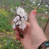dunyakoya5