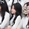 nthn_2110