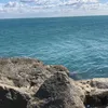 goatgoatgoat40