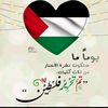 kamal..alsyd_gmail.com8