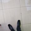 junet1531