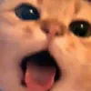 izyy00