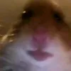natkaaaaa___1925