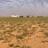 nadir_i