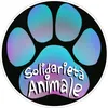 solidarieta.animale.roma
