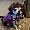 chihuahuakook