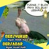 gunturhendrawan