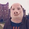 kingpayton37