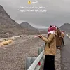 mostafl52