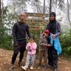 wiiwiing