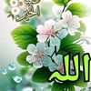 wajedisiam
